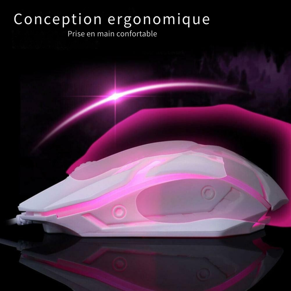 Souris ergonomique RGB
