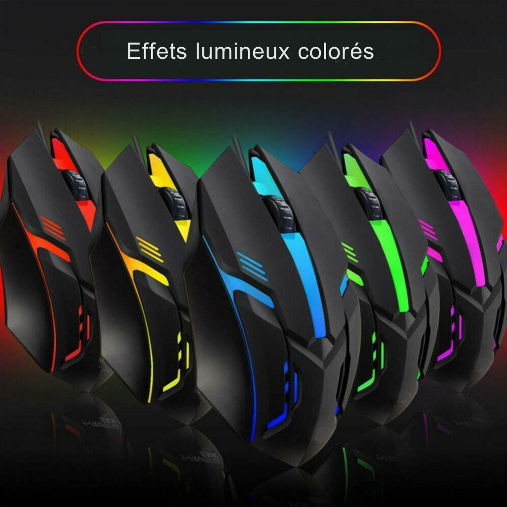 Souris ergonomique RGB